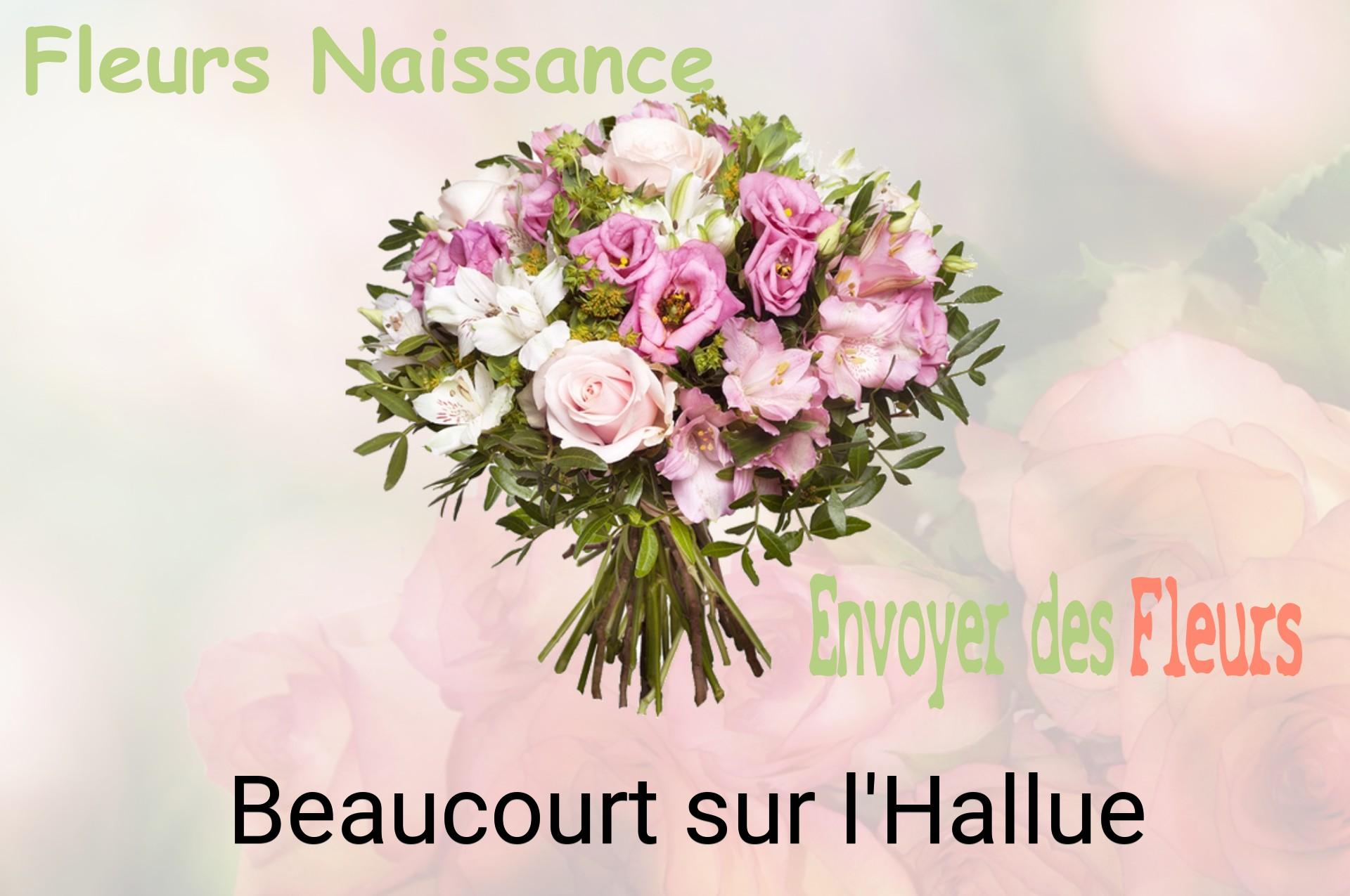 Bouquet de fleurs de naissance livré à Beaucourt-sur-l'Hallue